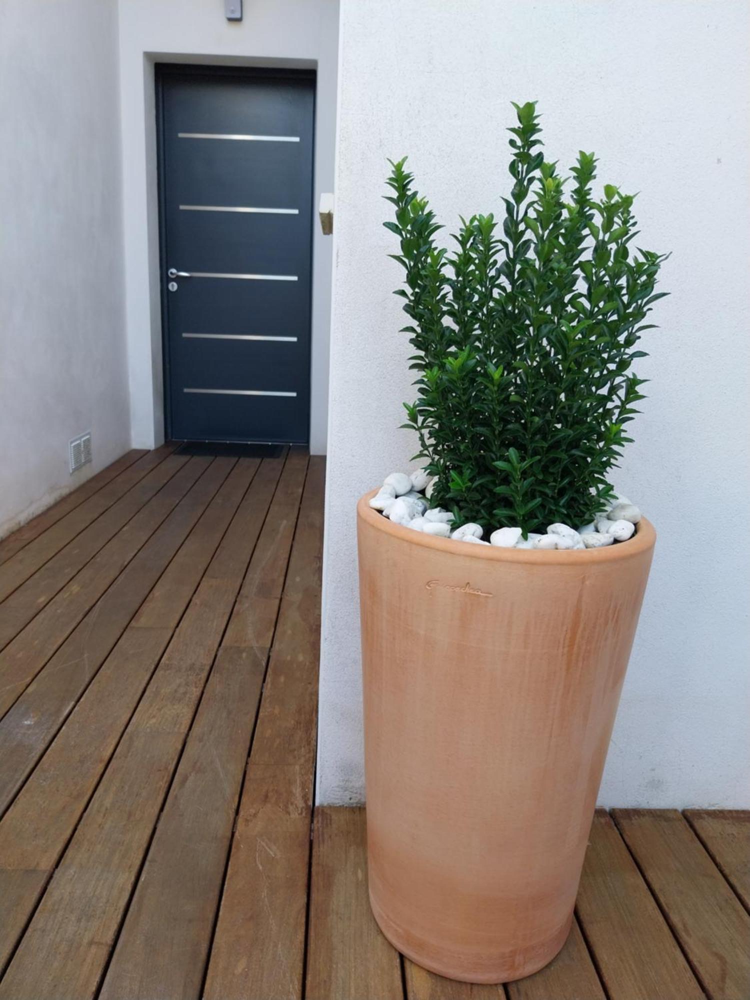 Studio Cocon Enea Bidart, Terrasse Et Parking 외부 사진
